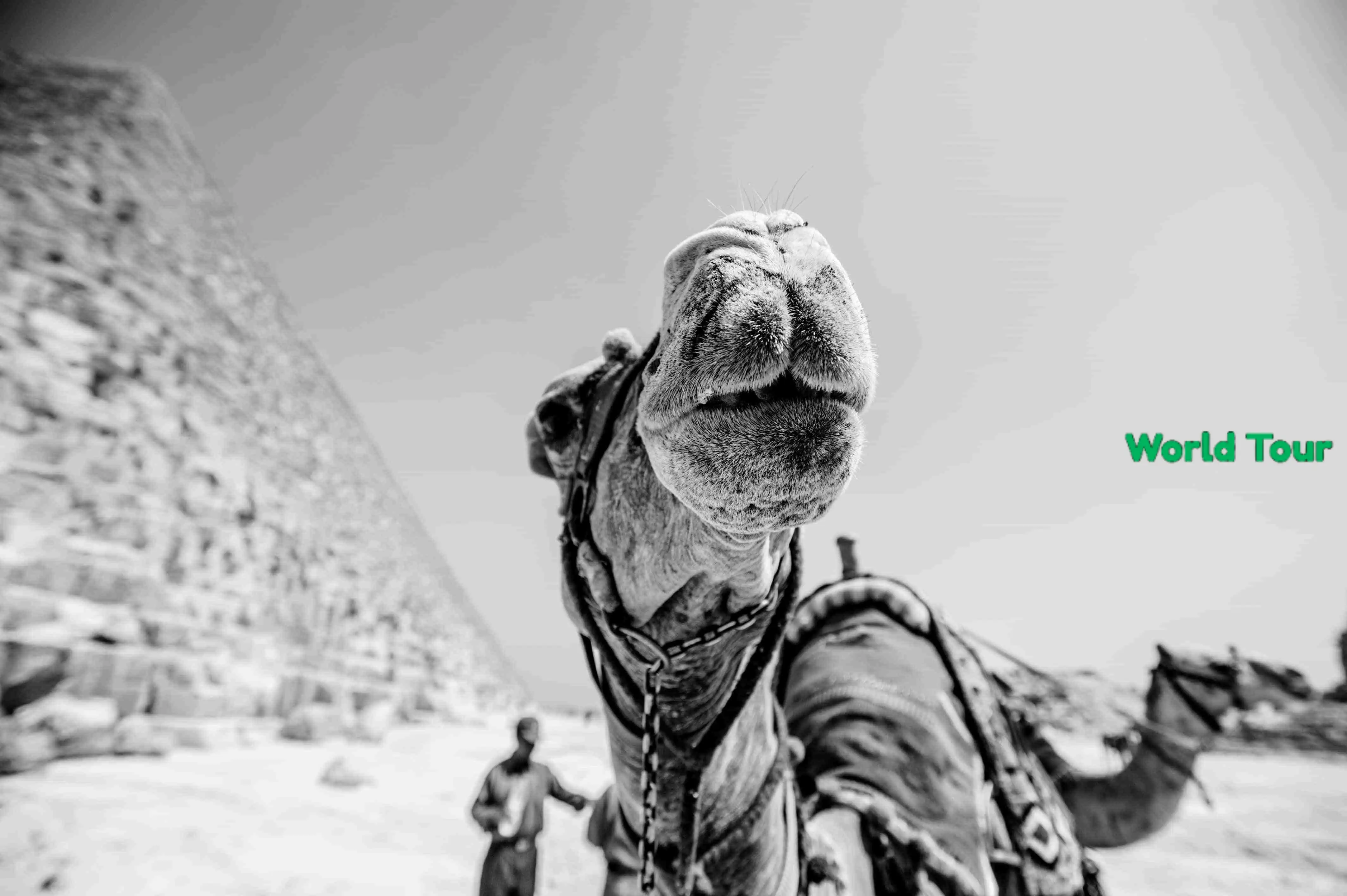 Ancient Egypt: 12 Hidden Treasures Beyond the Pyramids (2025 Cultural Guide)
