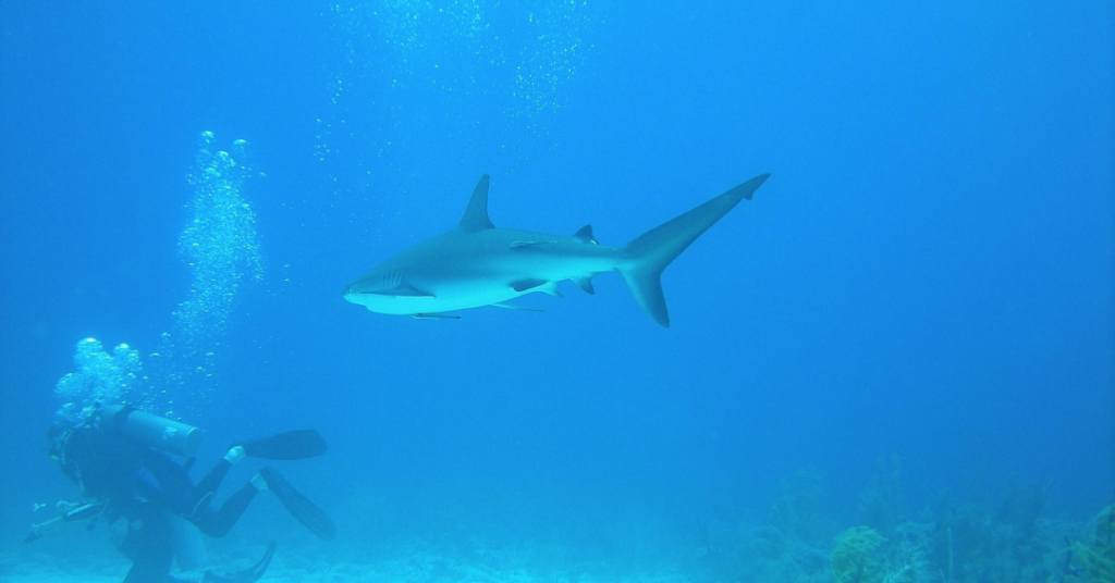 12 Epic Water Activities at Bahamas