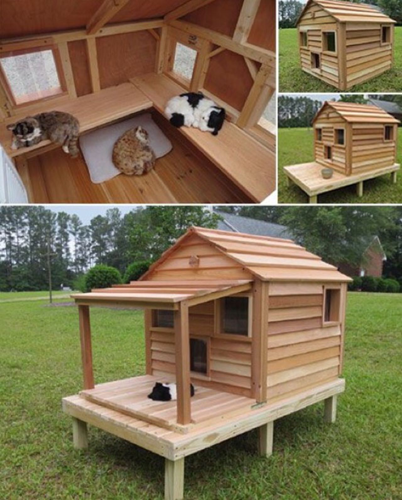 DIY Outdoor Cat House Plans: Build a Cozy Shelter for Your Feline Friend - Image 4